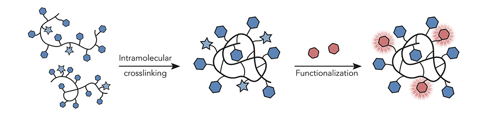 Image showing the functionalisation of Intris technology